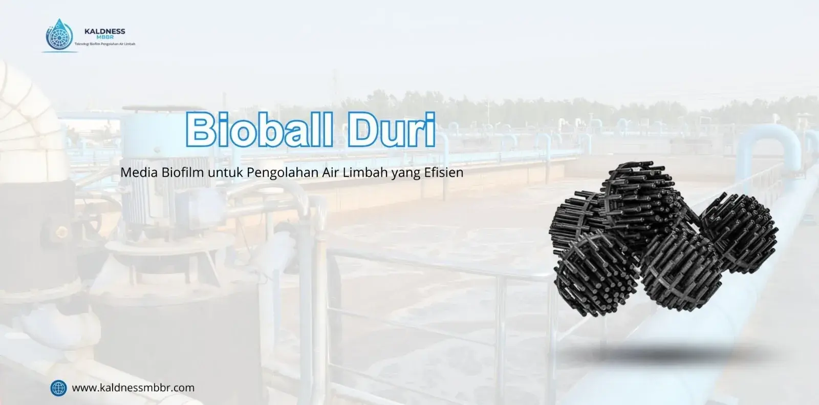 Bioball Duri